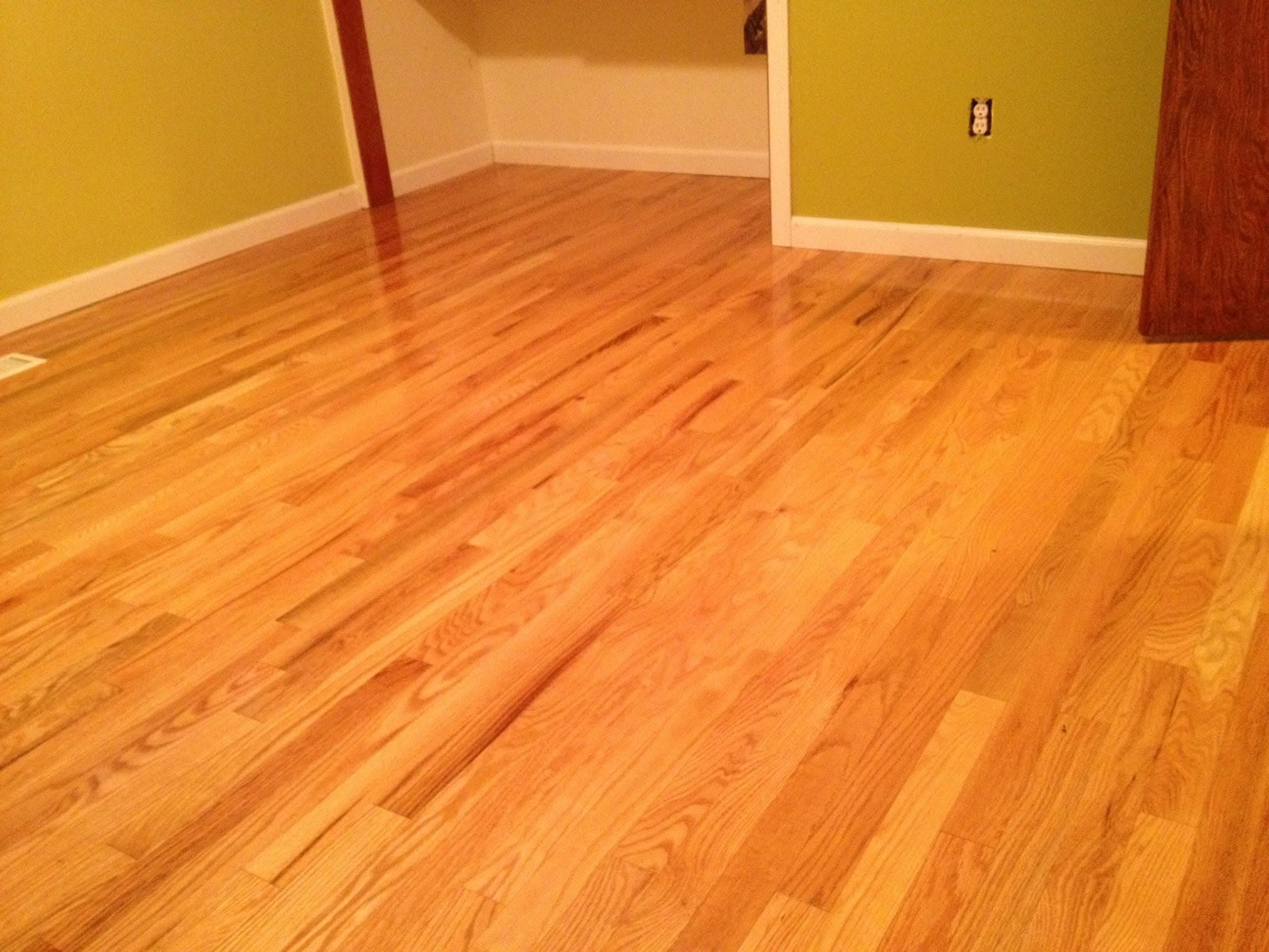 Freshly refinished red oak hardwood floor in a room with olive-green walls, seen through a doorway